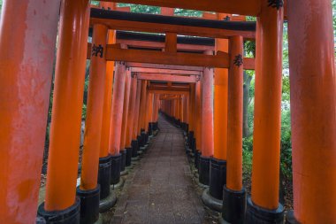 Kyoto - 28 Mayıs 2019: Fushimi Inari Shinto sh'nin Torii kapıları