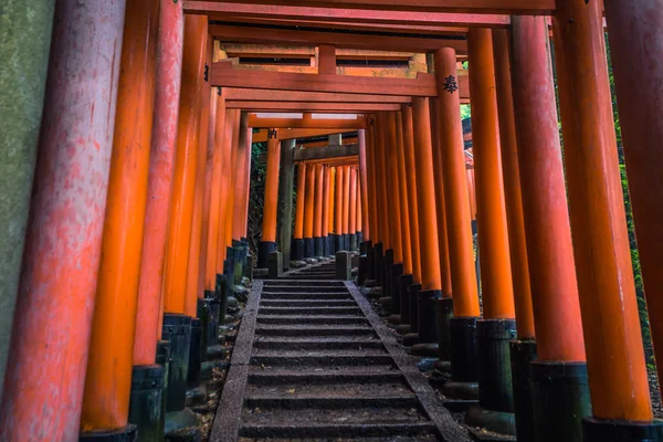 Kioto - 28 de mayo de 2019: Puertas Torii de la Fushimi Inari Shinto sh — Foto de Stock