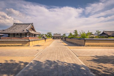 Ikaruga - 03 Haziran 2019: Horyu-Ji, Irakuga tapınağı, Nara P