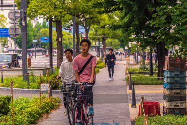 Himeji - 02 Haziran 2019: Bölgedeki ikonik Himeji Kalesi