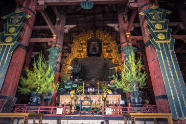 Nara - 31 Mayıs 2019: Daibutsu, içindeki büyük Buda heykeli