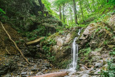 Şelale dağlar Vadisi ormanında. Temiz su ile dağ dere. Yaprak döken yaşlı orman.