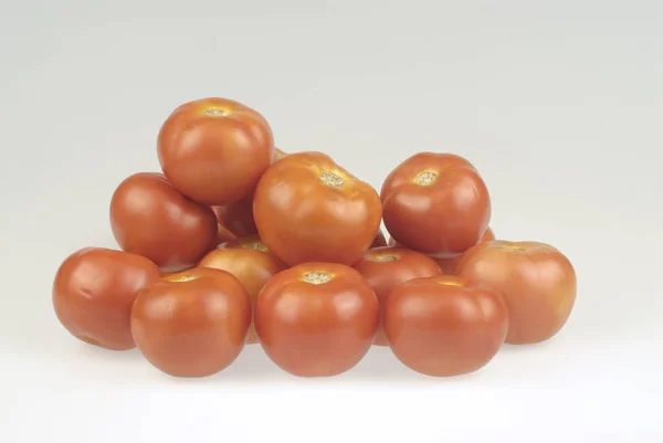 Tomater Vit Bakgrund — Stockfoto