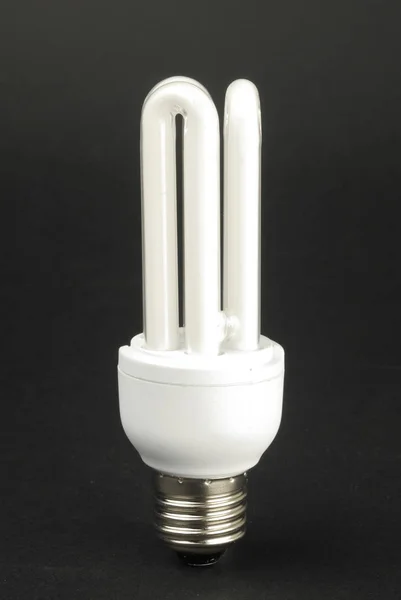 One Energy Saving Lamp Ecological — Stock Photo, Image