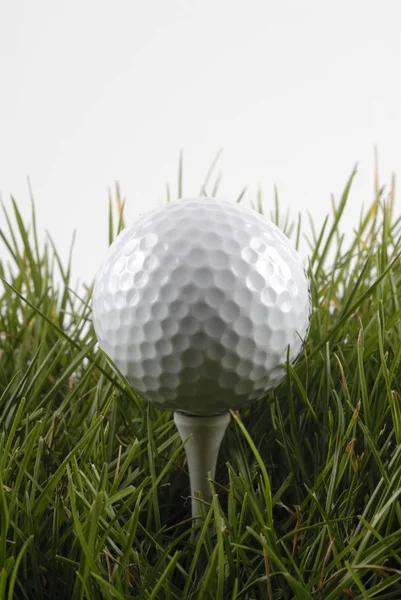 Golfbal Het Gras — Stockfoto