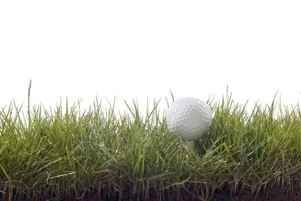 Golf Ball Grass — Stock Photo, Image