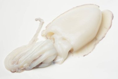 Sepya beyaz arka plan üzerinde ham