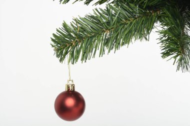 Kırmızı dekoratif top Noel ağacı üzerinde