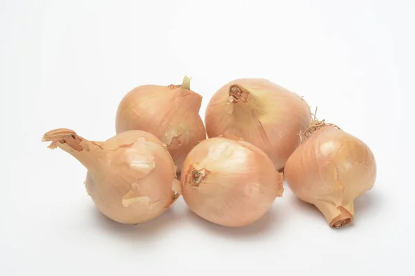 Onion White Background — Stock Photo, Image