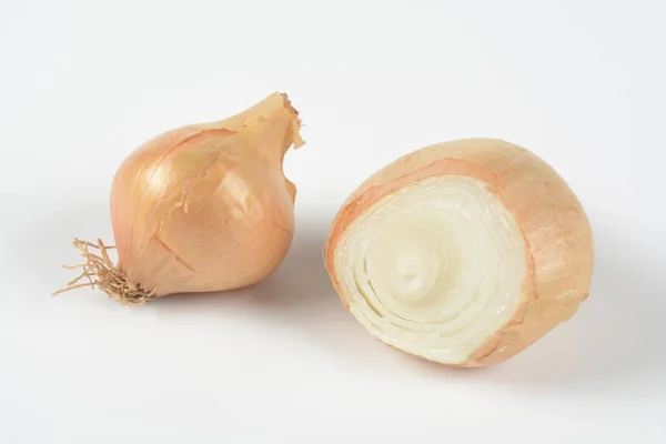 Onion White Background — Stock Photo, Image