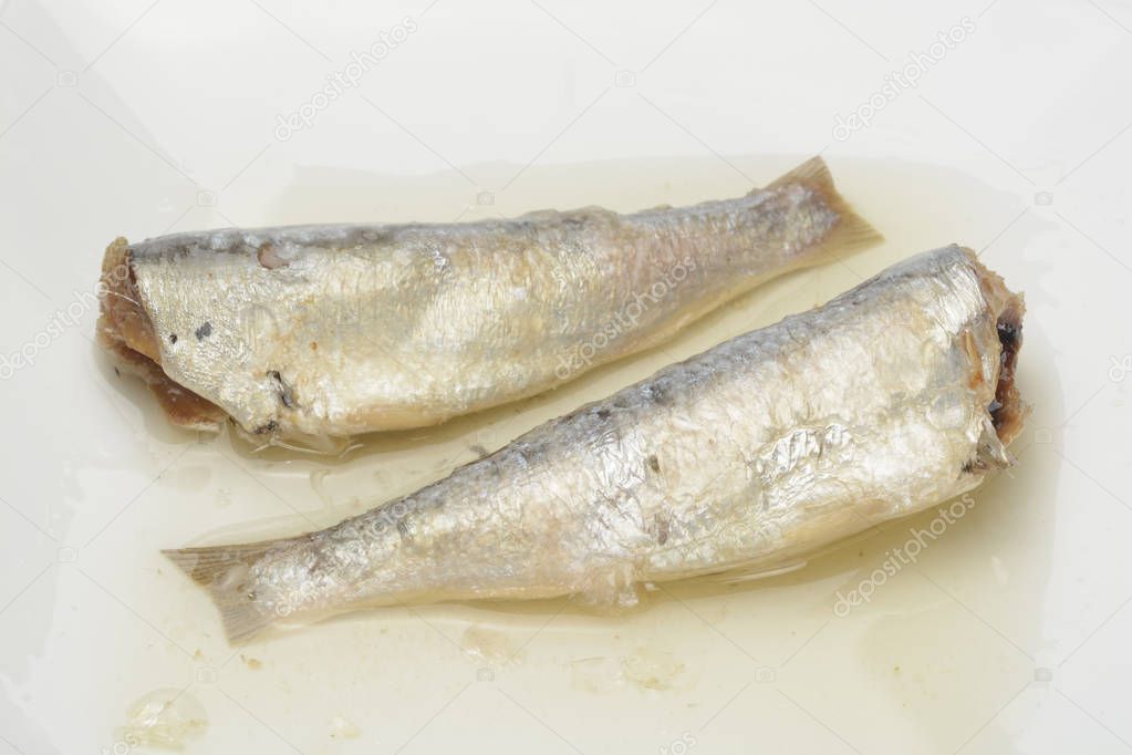 Canned sardines in vegetable oil on white background