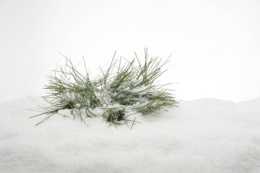 Plastik yapay kar dalları