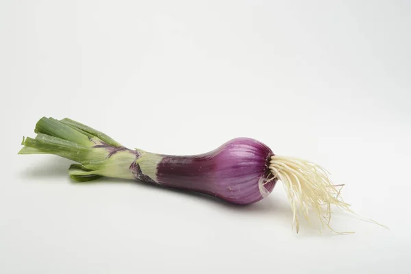 Close Shot Blue Chives White Surface — Stock Photo, Image