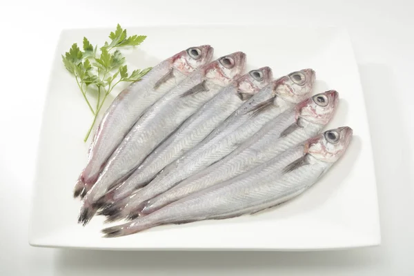 Gigli Merlano Pesce Crudo Sfondo Bianco — Foto Stock