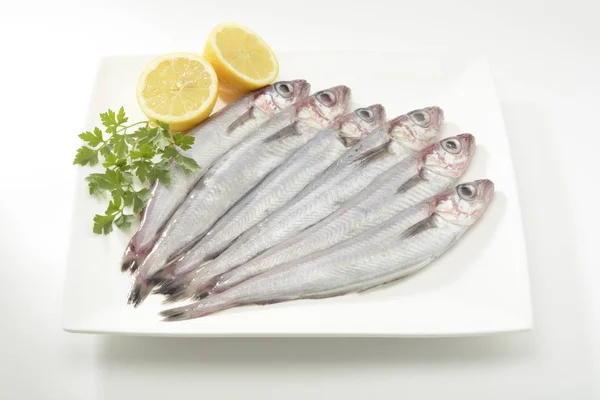 Gigli Merlano Pesce Crudo Sfondo Bianco — Foto Stock