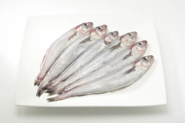 Lilyum Veya Mezgit Beyaz Arka Plan Üzerinde Çiğ Balık — Stok fotoğraf