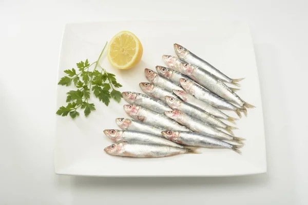 Sardines Crues Assiette Sur Fond Blanc — Photo