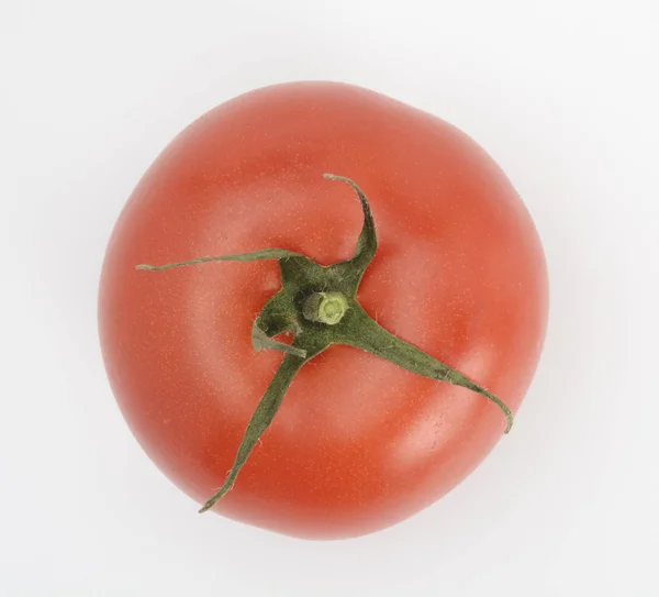 Um tomate sobre fundo branco — Fotografia de Stock