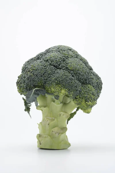 En rå broccoli — Stockfoto