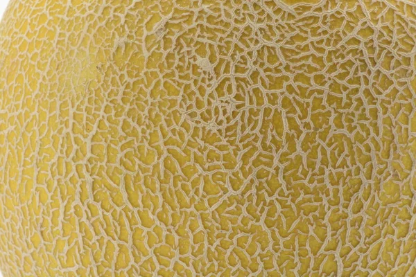 Peau Jaune Melon Sur Fond Blanc — Photo