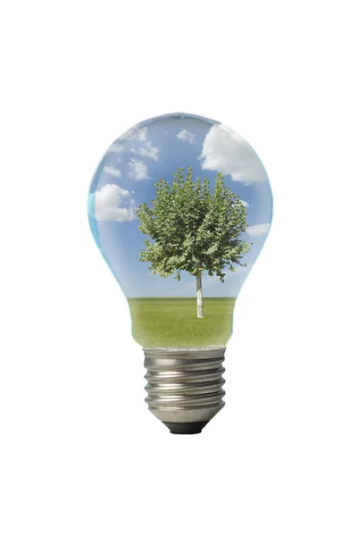 Landscape inside a lightbulb — Stock Photo, Image