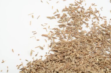 Beyaz arkaplanda kimyon