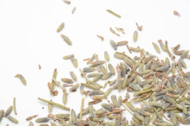 Beyaz arkaplanda kuru lavanta, ayrıntı.