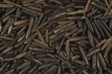 Yabani pirinç, arka plan olarak kompozisyon.