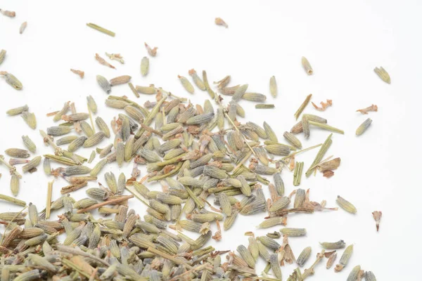 Dry Lavender White Background Detail — Stock Photo, Image