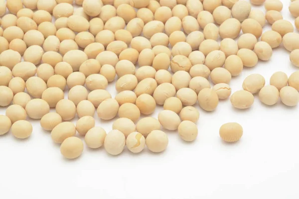 白を基調とした生大豆 — ストック写真