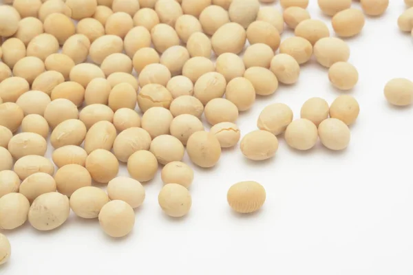 白を基調とした生大豆 — ストック写真
