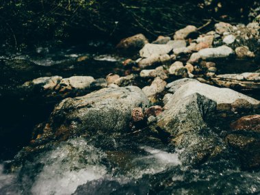 dağlarda birkaç nehir kaya