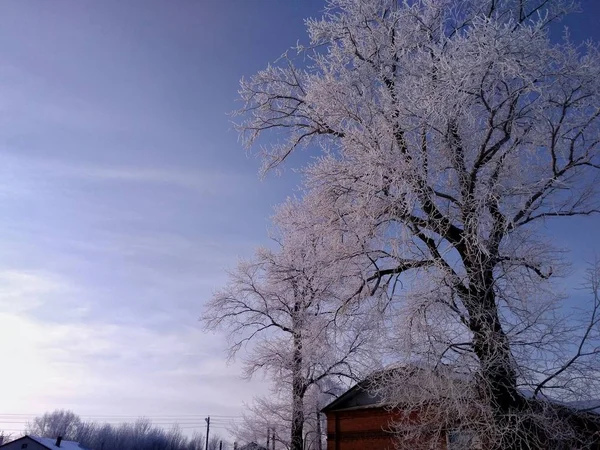 Velha Escola Contexto Uma Paisagem Inverno — Fotografia de Stock