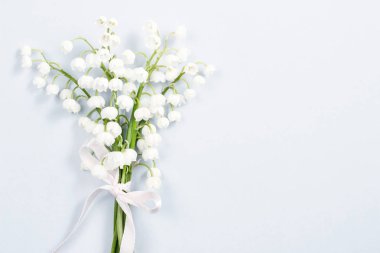 Lilly Vadisi çiçek. Bahar dekor