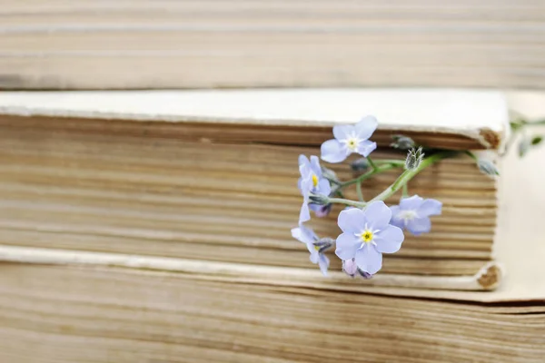 Stapel Alter Bücher Und Vergissmeinnicht Blumen Retro Stil — Stockfoto