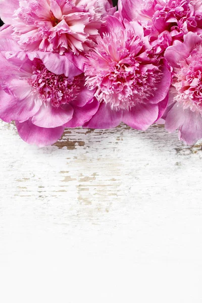 Stunning Pink Peonies Rustic Wooden Background Graphic Resources — Stock Photo, Image