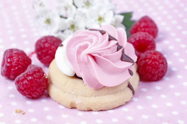 Roze Raspberry Cookie Gestippelde Tabel Doek Partij Dessert — Stockfoto