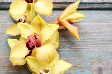 Ahşap arka plan üzerinde güzel sarı orkide çiçekler. Parti dekor