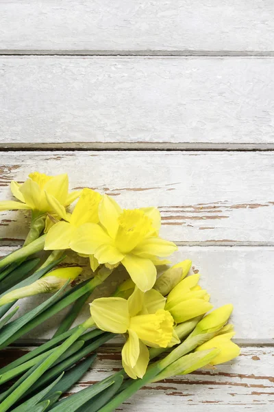 Bellissimi Narcisi Gialli Tavolo Legno Bianco Arredamento Primavera — Foto Stock