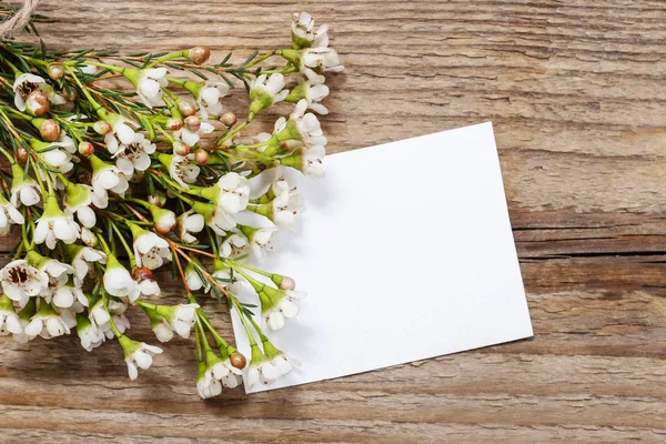 Chamelaucium Flowers Waxflower Wooden Background — Stock Photo, Image