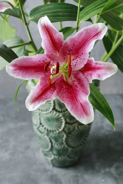 Pembe Kırmızı Lily Çiçekler Dekorasyonu — Stok fotoğraf