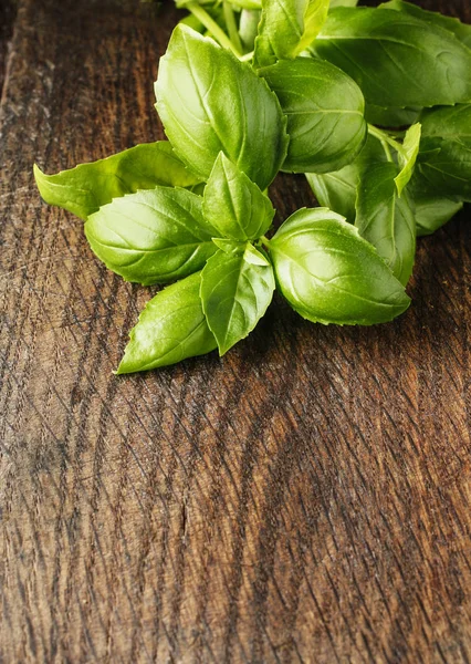 Basil Leaves Wooden Background Copy Space — Stock Photo, Image