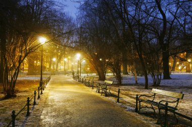 Planty Şehir Parkı, Krakow, Polonya.