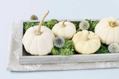 Çiçek düzenleme ile bebek boo kabaklar ve yosun ahşap kutu.