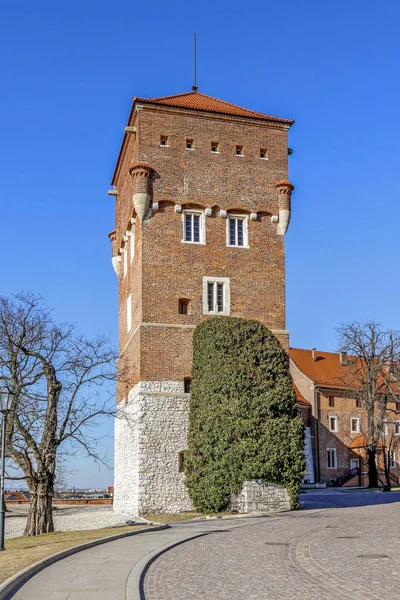 Krakow Polonya Kraliyet Wawel Hill Adlı — Stok fotoğraf