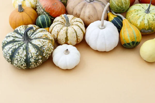 Calabazas Sobre Fondo Naranja Decoración Otoño —  Fotos de Stock