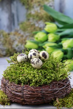 Bahar çiçekleri ve basit Paskalya süsleri karışımı. Scilla siberica, Galanthus nivalis ve çiğdemler.