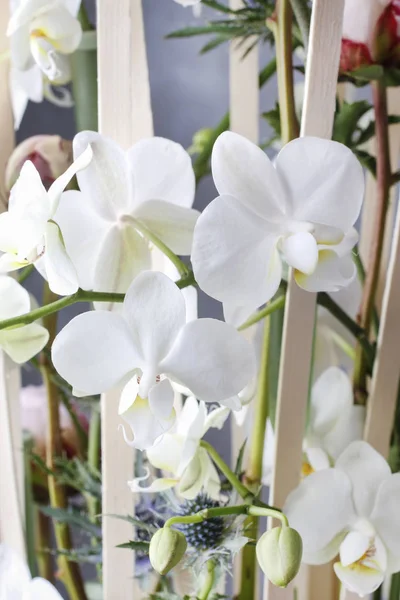 Blumenschmuck Mit Orchideen Und Pfingstrosen Wohnkultur — Stockfoto