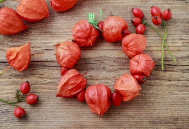 Physalis alkekengi çelenk. Ev dekorasyonu