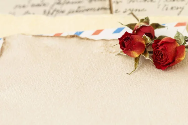 Szárított Rózsák Vintage Papírlap Másolja Hely — Stock Fotó